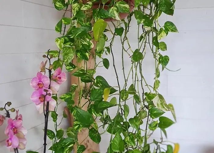 Terre De Glisse 度假居 *